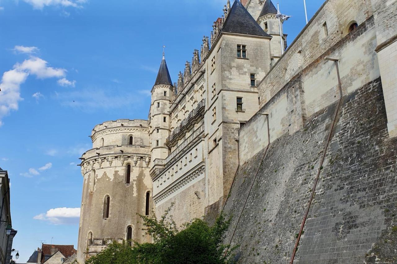 Splendid Apartment At The Foot Of The Castle Of Amboise - View Of The Loir Eksteriør billede